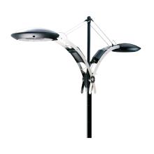 ARCHITECTURAL AREA LIGHTING Flex