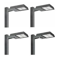 BEACON RAR2 Ratio